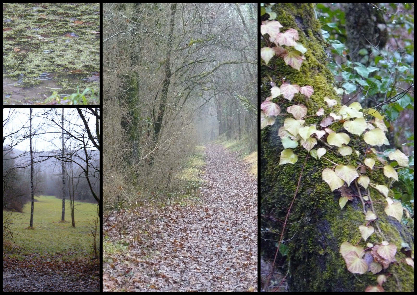 10 de c 2017 rando crayssac2