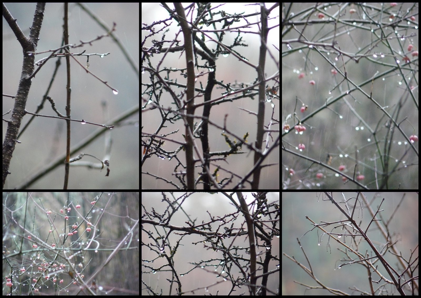 10 de c 2017 rando crayssac3