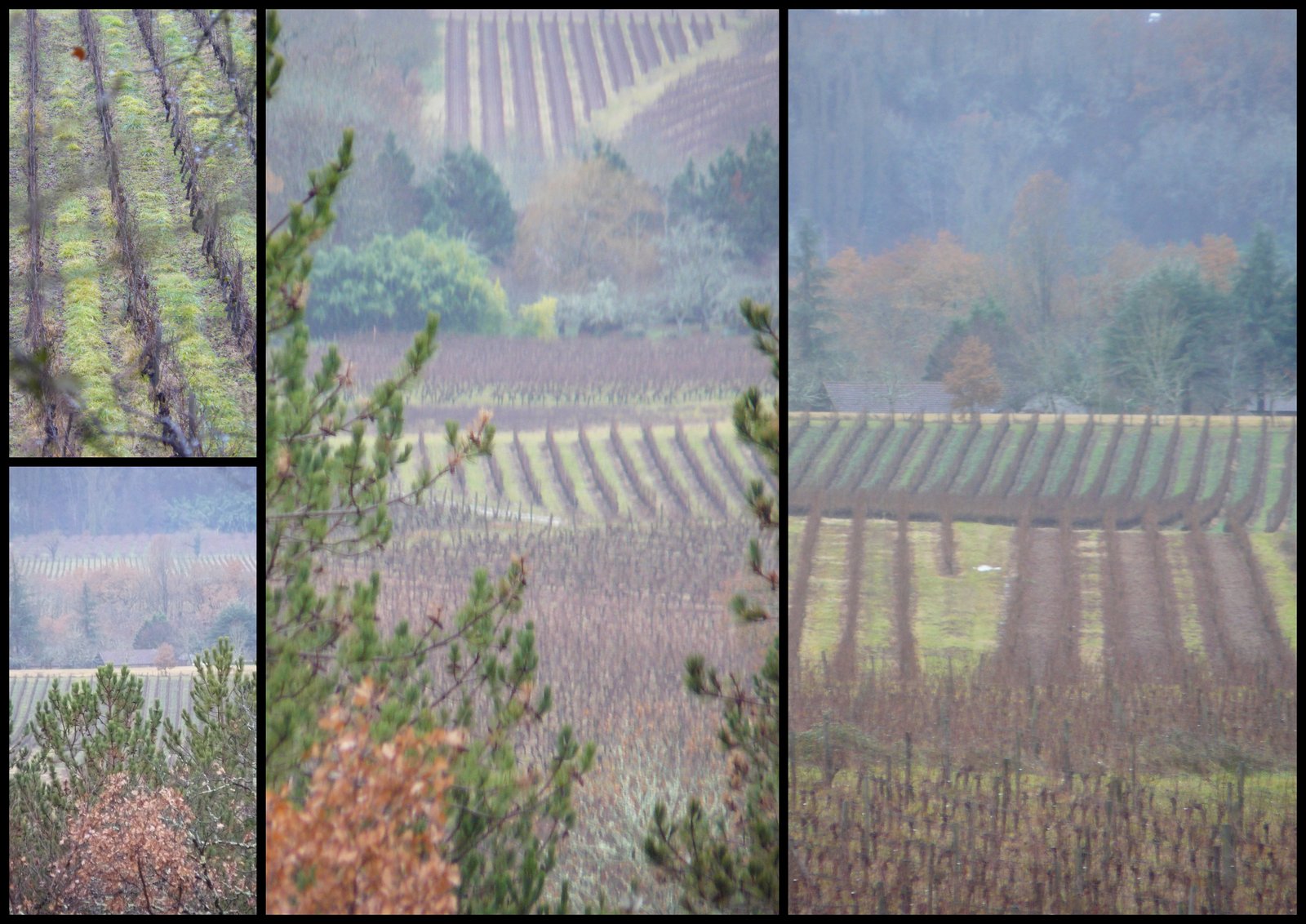 10 de c 2017 rando crayssac4