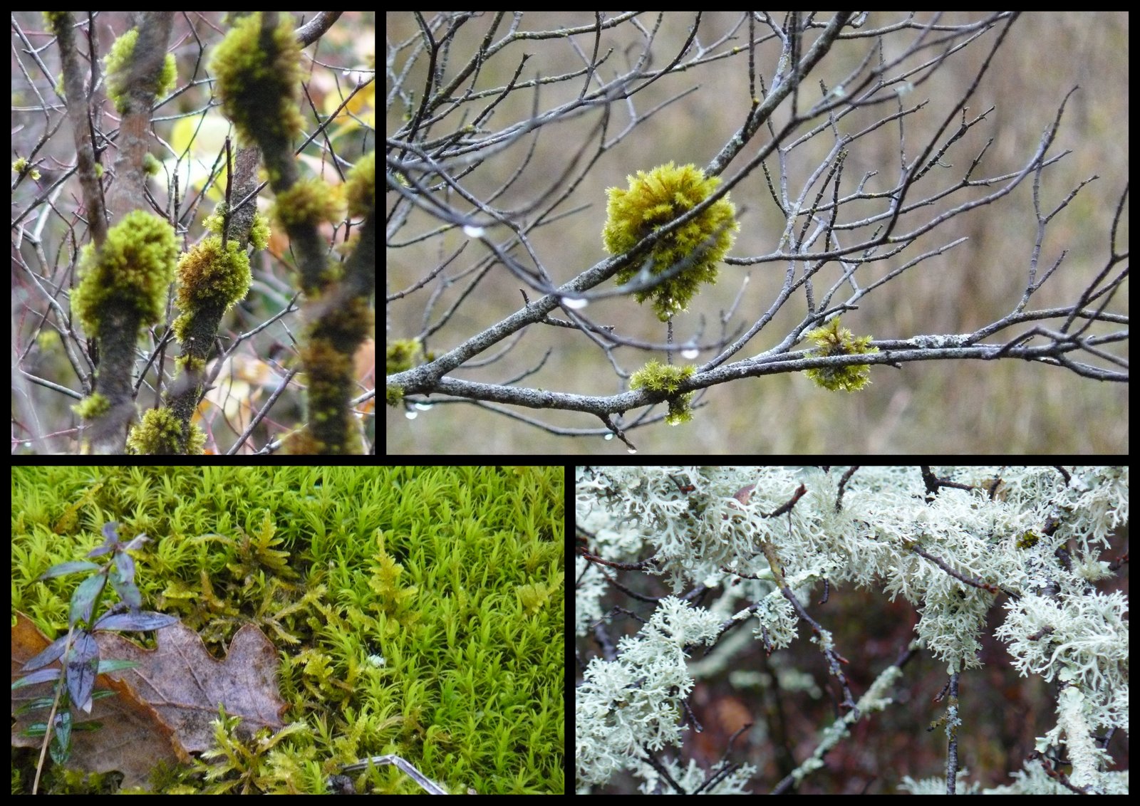 10 de c 2017 rando crayssac5