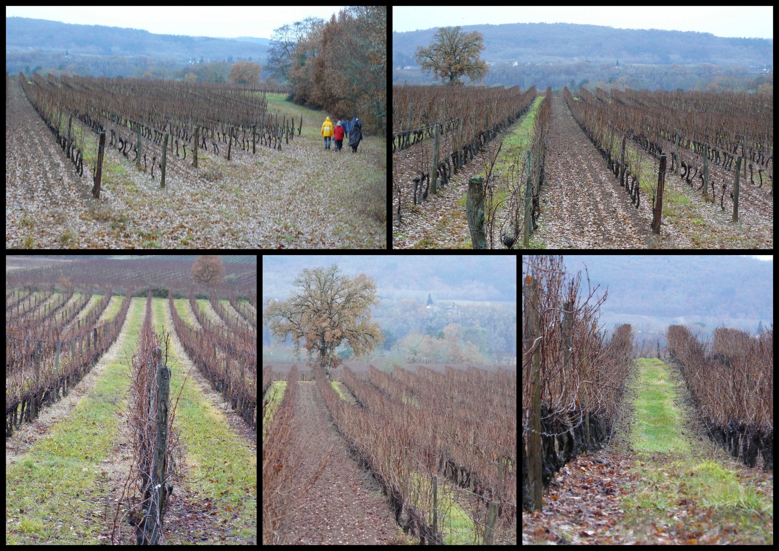 10 de c 2017 rando crayssac8