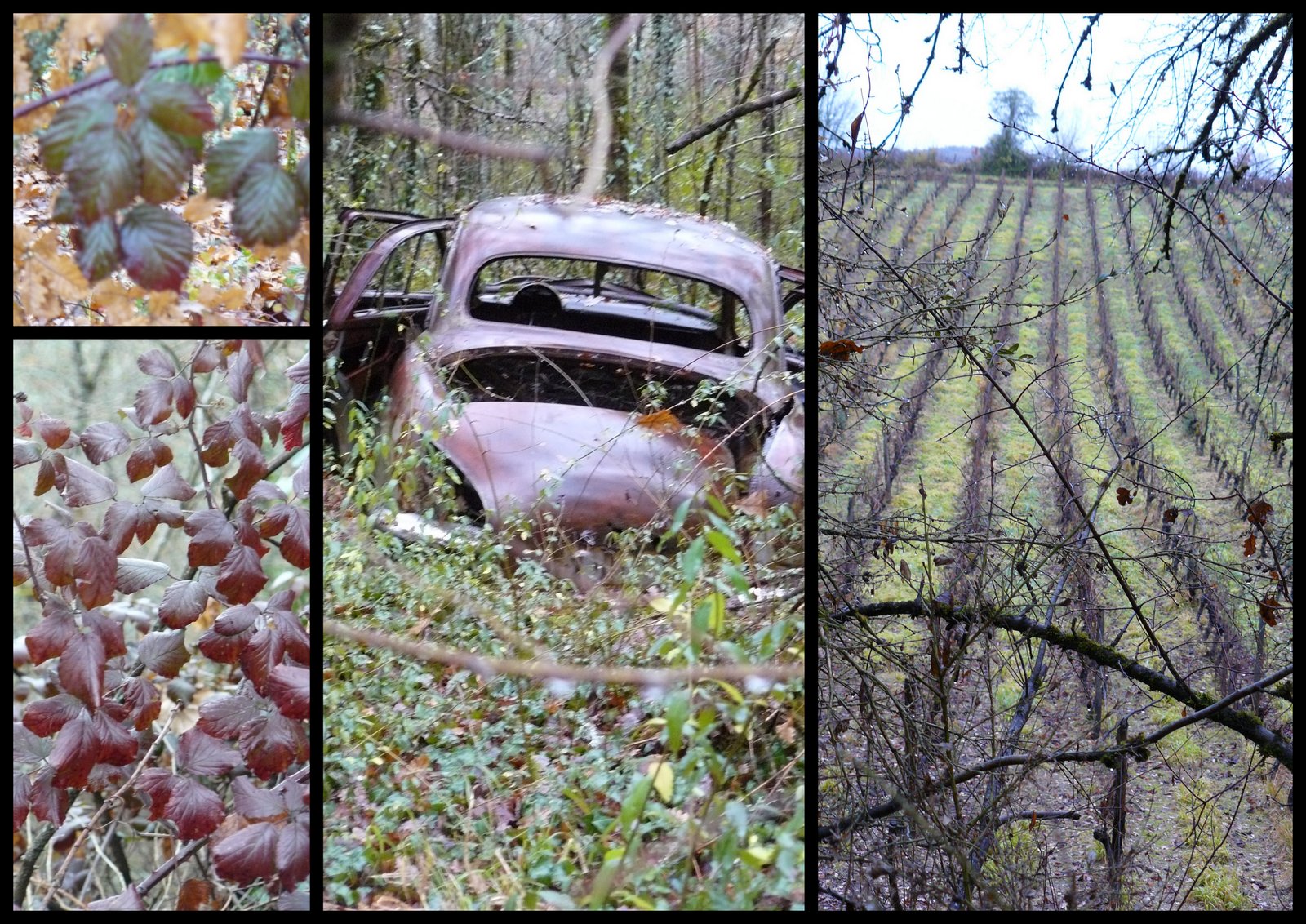 10 de c 2017 rando crayssac9