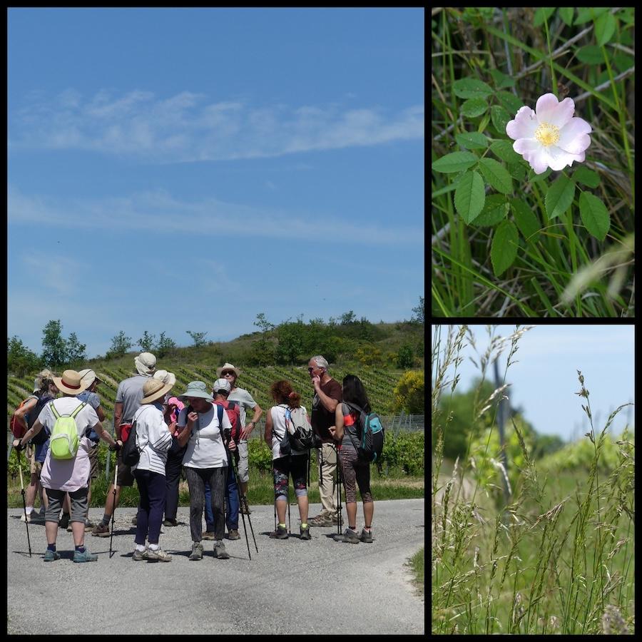 10 mai 25 rando belfort du quercy11