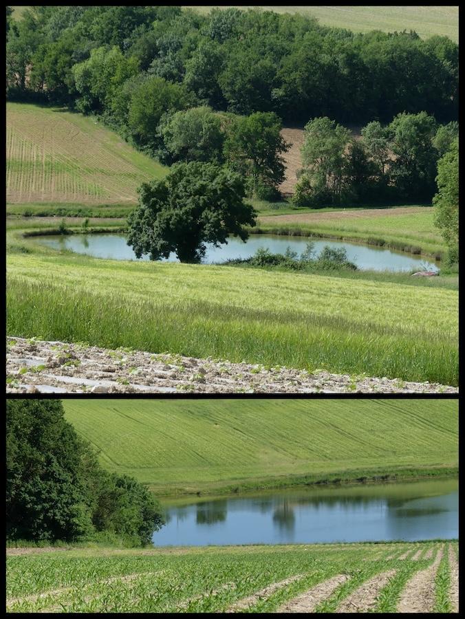 10 mai 25 rando belfort du quercy25
