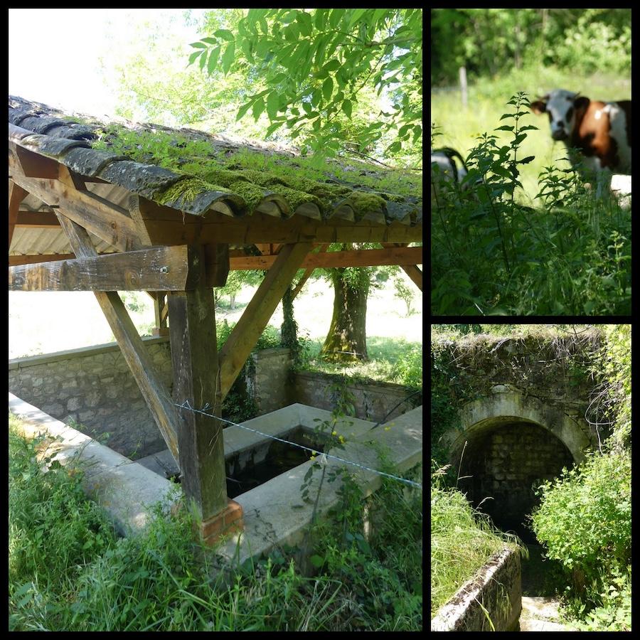 10 mai 25 rando belfort du quercy5