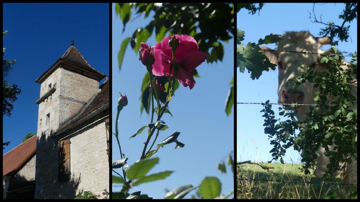 12 juillet 20 depart du mas del sol