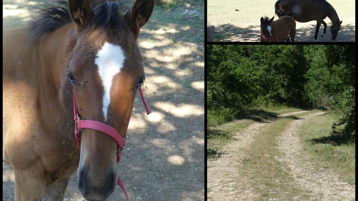 12 juillet 20 depart du mas del sol11