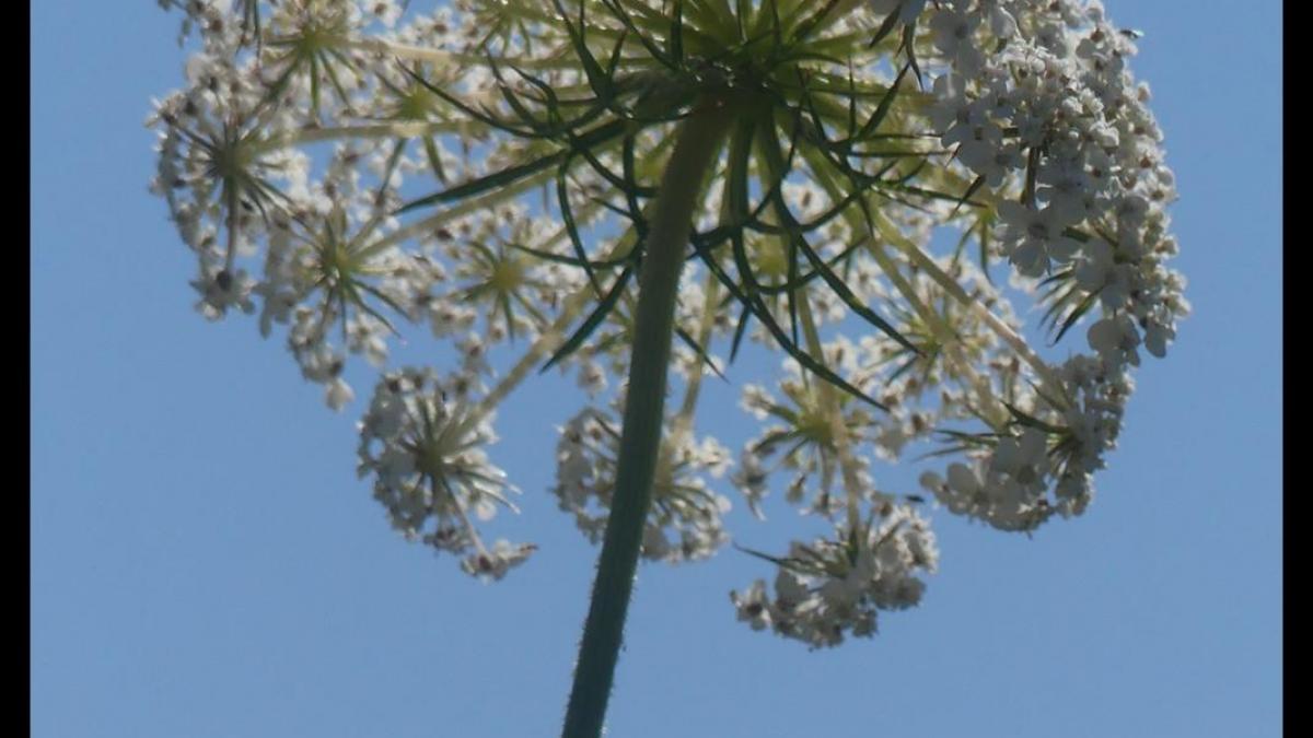 12 juillet 20 depart du mas del sol12