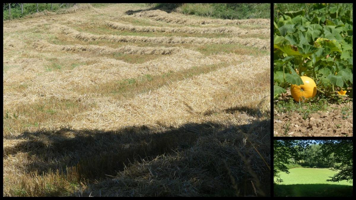 12 juillet 20 depart du mas del sol18