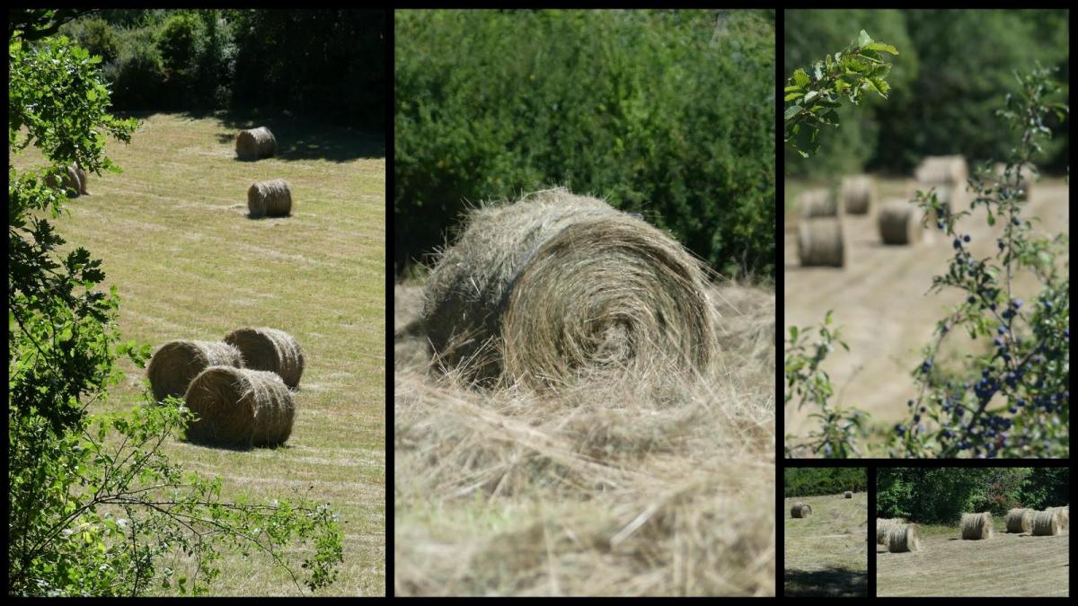 12 juillet 20 depart du mas del sol19