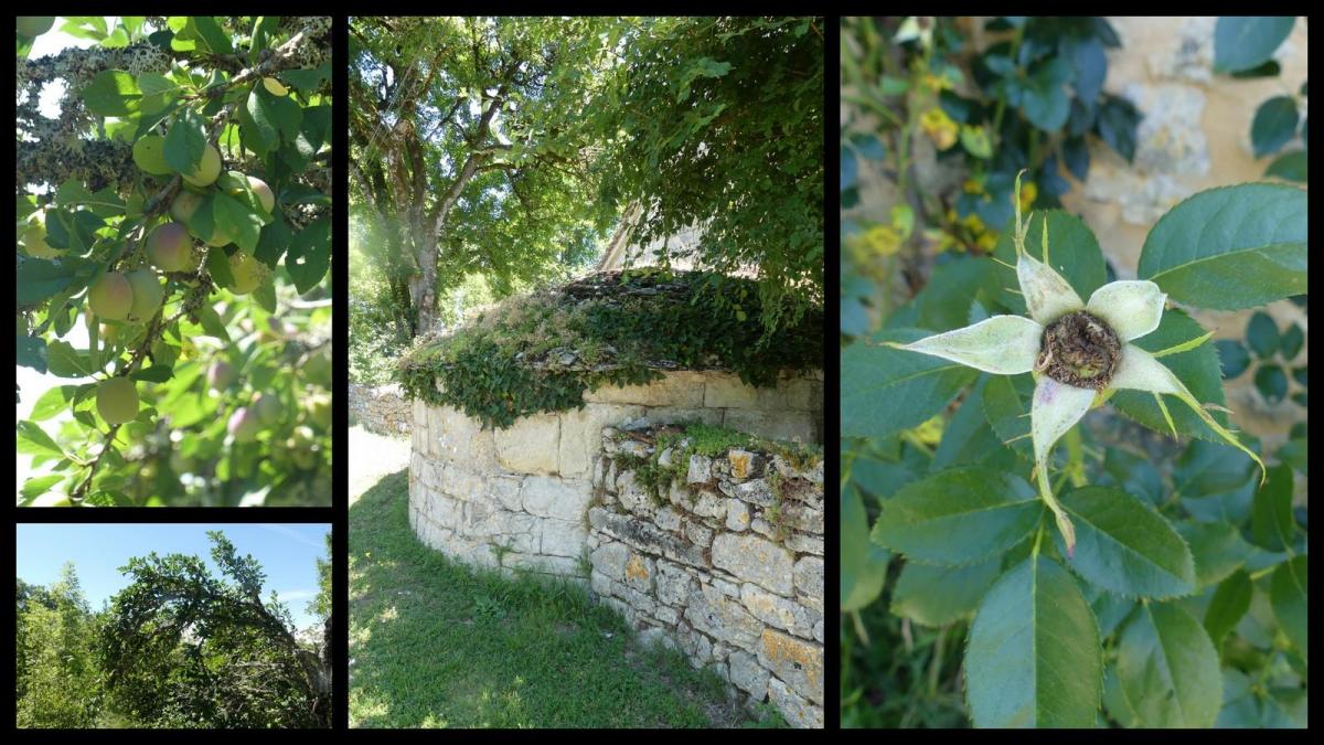 12 juillet 20 depart du mas del sol21