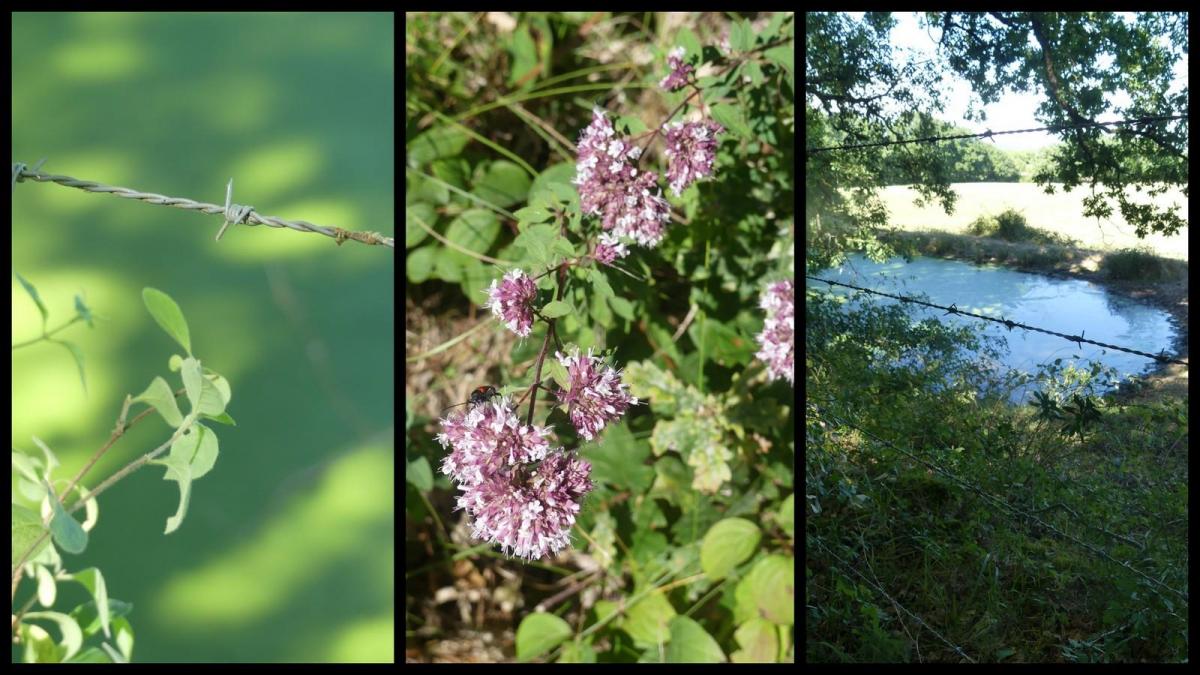 12 juillet 20 depart du mas del sol3