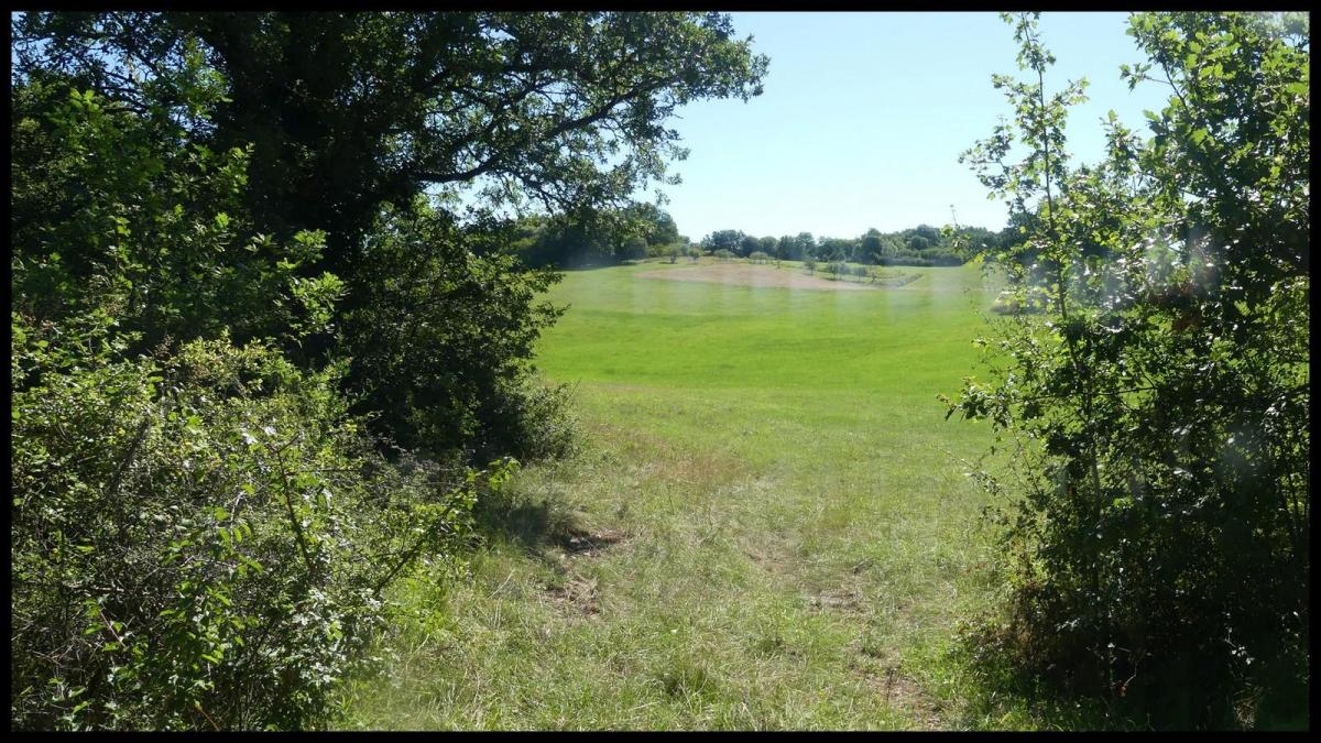 12 juillet 20 depart du mas del sol4