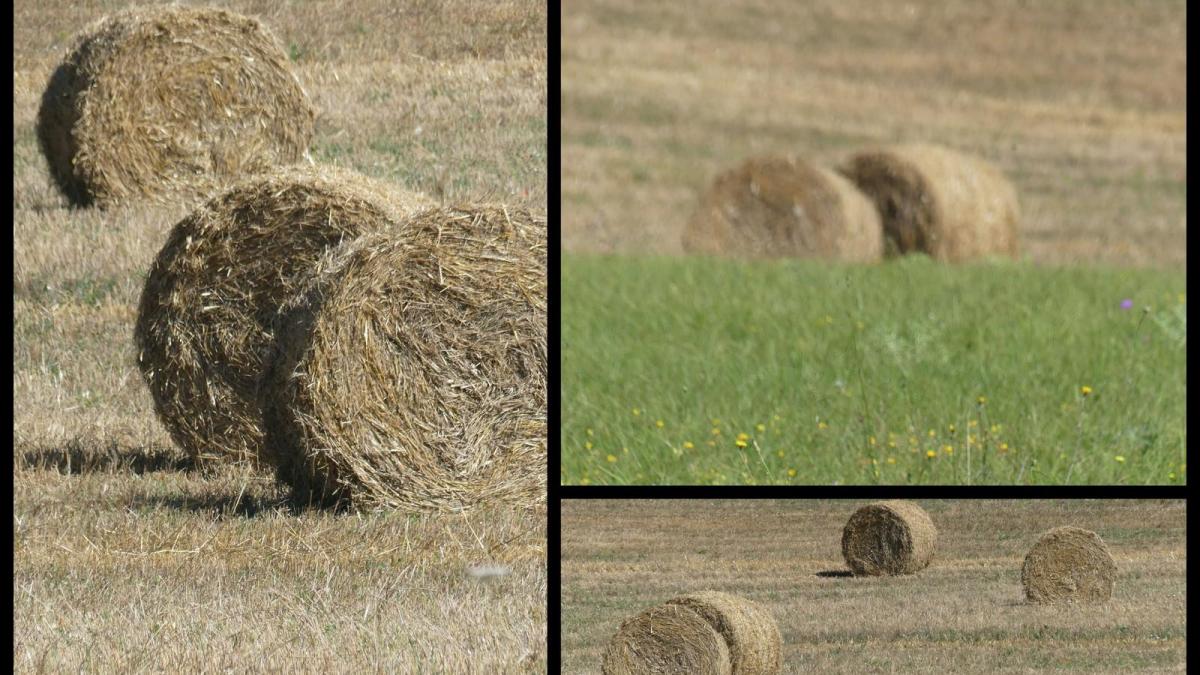 12 juillet 20 depart du mas del sol8