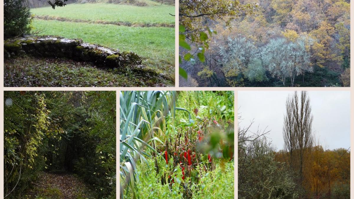 12 nov 2017 sabadel lauze s8