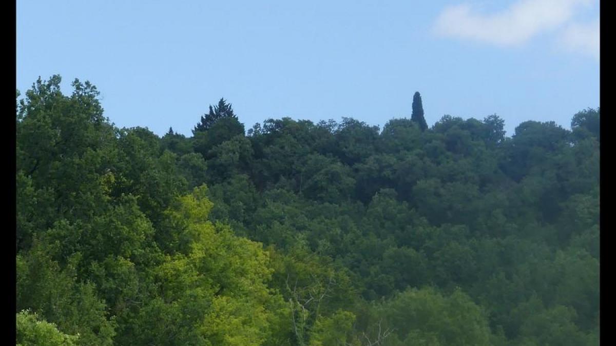 14 juin 20 brouelles maxou