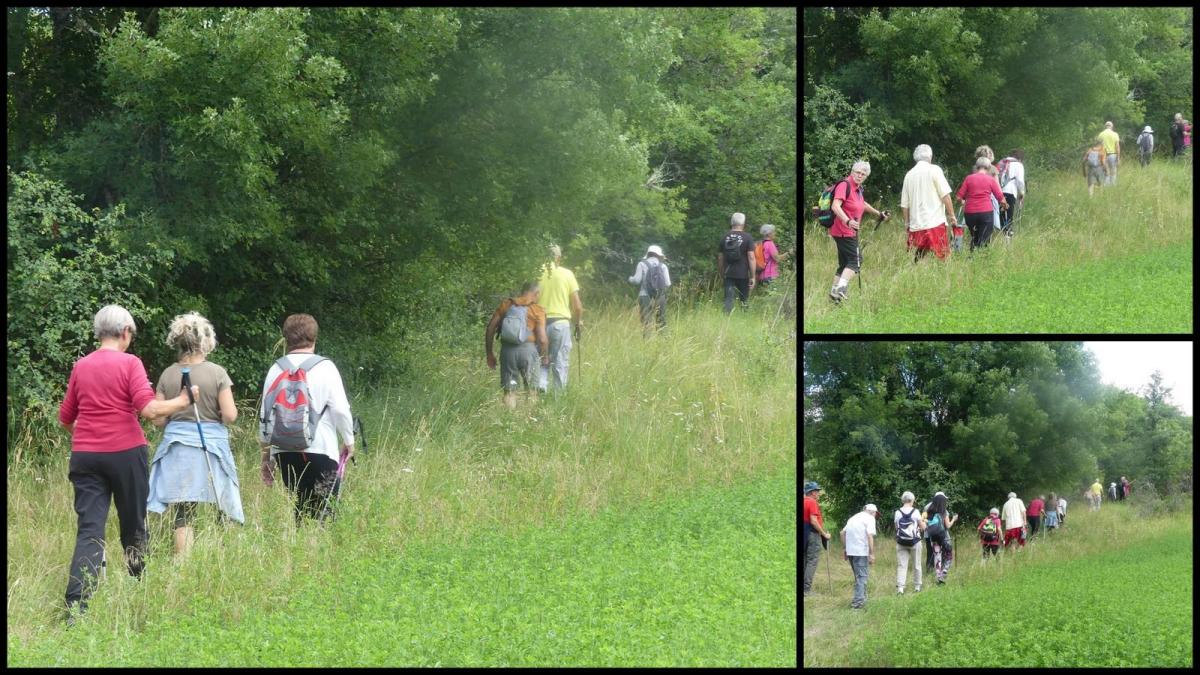 14 juin 20 brouelles maxou7