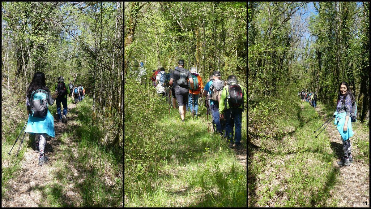 16 avril 23 rando francoules10 resultat