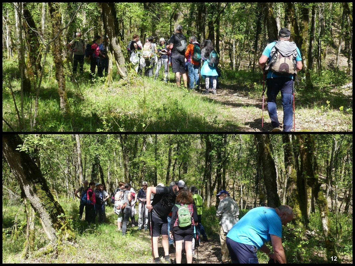 16 avril 23 rando francoules11 resultat
