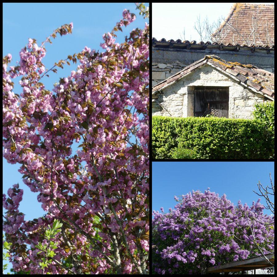 16 avril 23 rando francoules19 resultat