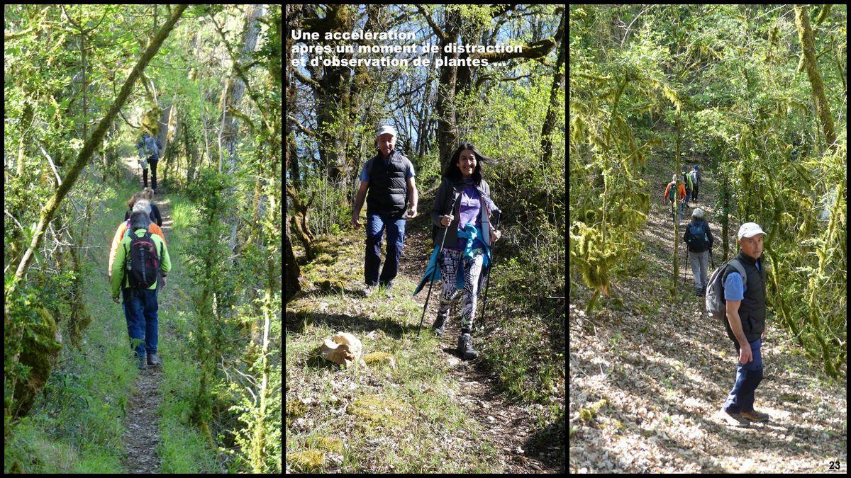 16 avril 23 rando francoules22 resultat