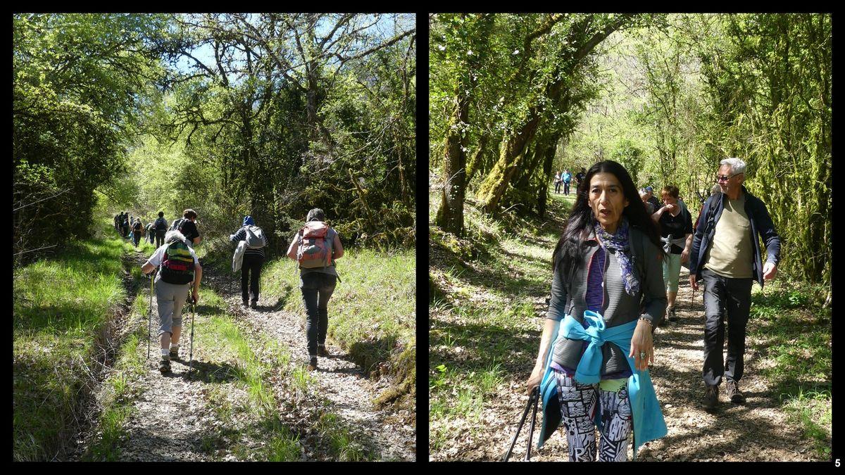 16 avril 23 rando francoules4 resultat