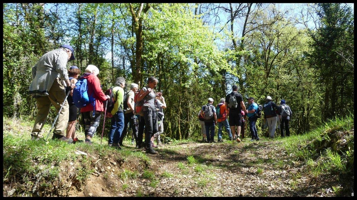 16 avril 23 rando francoules7 resultat