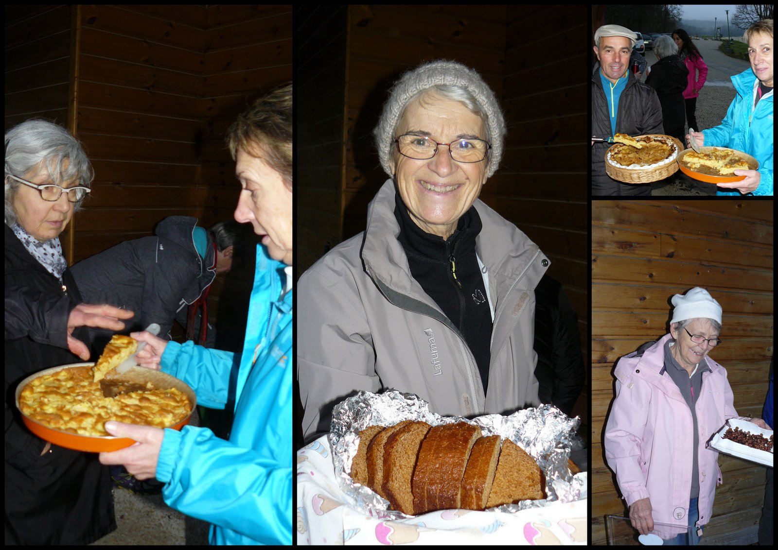 17 de c 2017 catus11