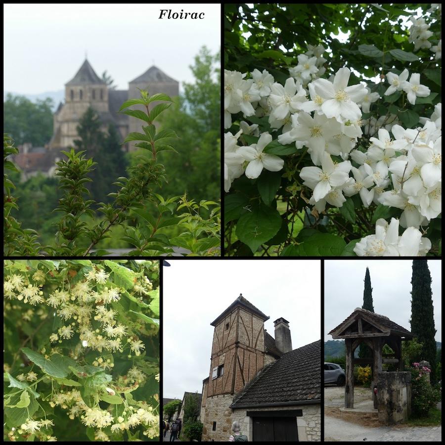 1er juin 25 rando floirac31