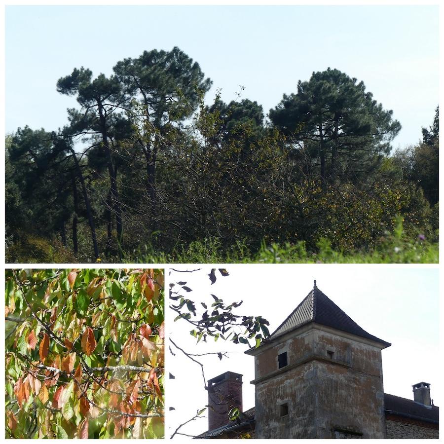 20 octobre 24 rando frayssinet le gelat10