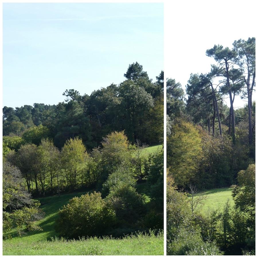 20 octobre 24 rando frayssinet le gelat11