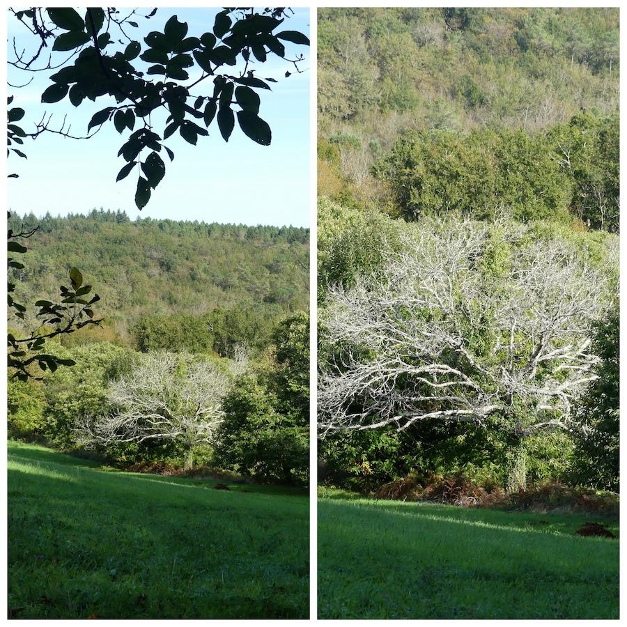 20 octobre 24 rando frayssinet le gelat12