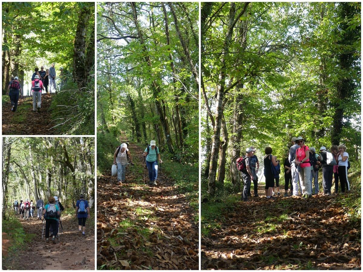 20 octobre 24 rando frayssinet le gelat3