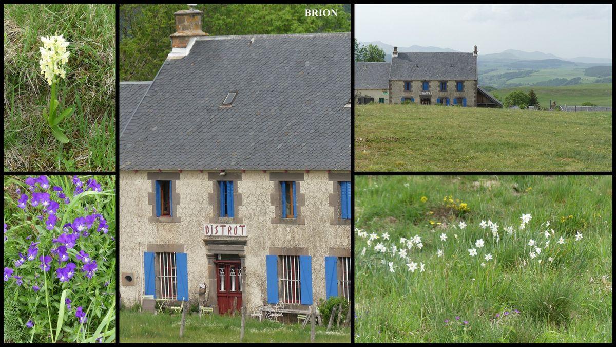 21 22 23 mai 2022 puy de dome62 resultat