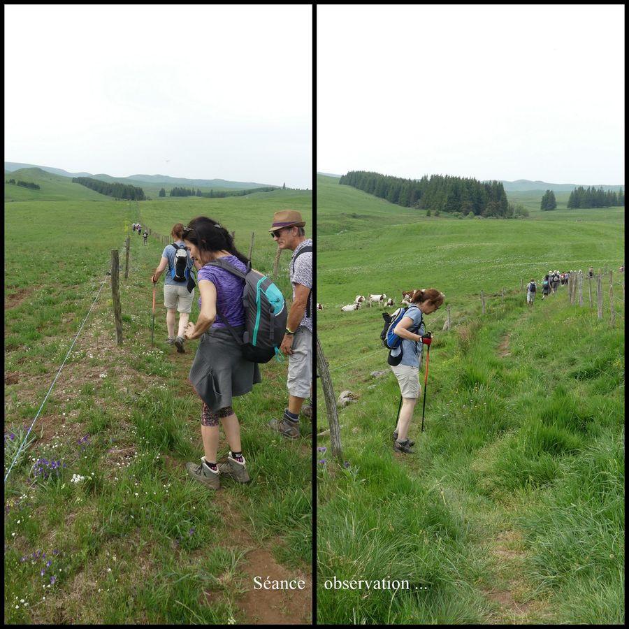 21 22 23 mai 2022 puy de dome66 resultat