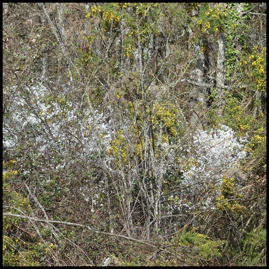 26 mars 23 rando nuzejouls20 resultat