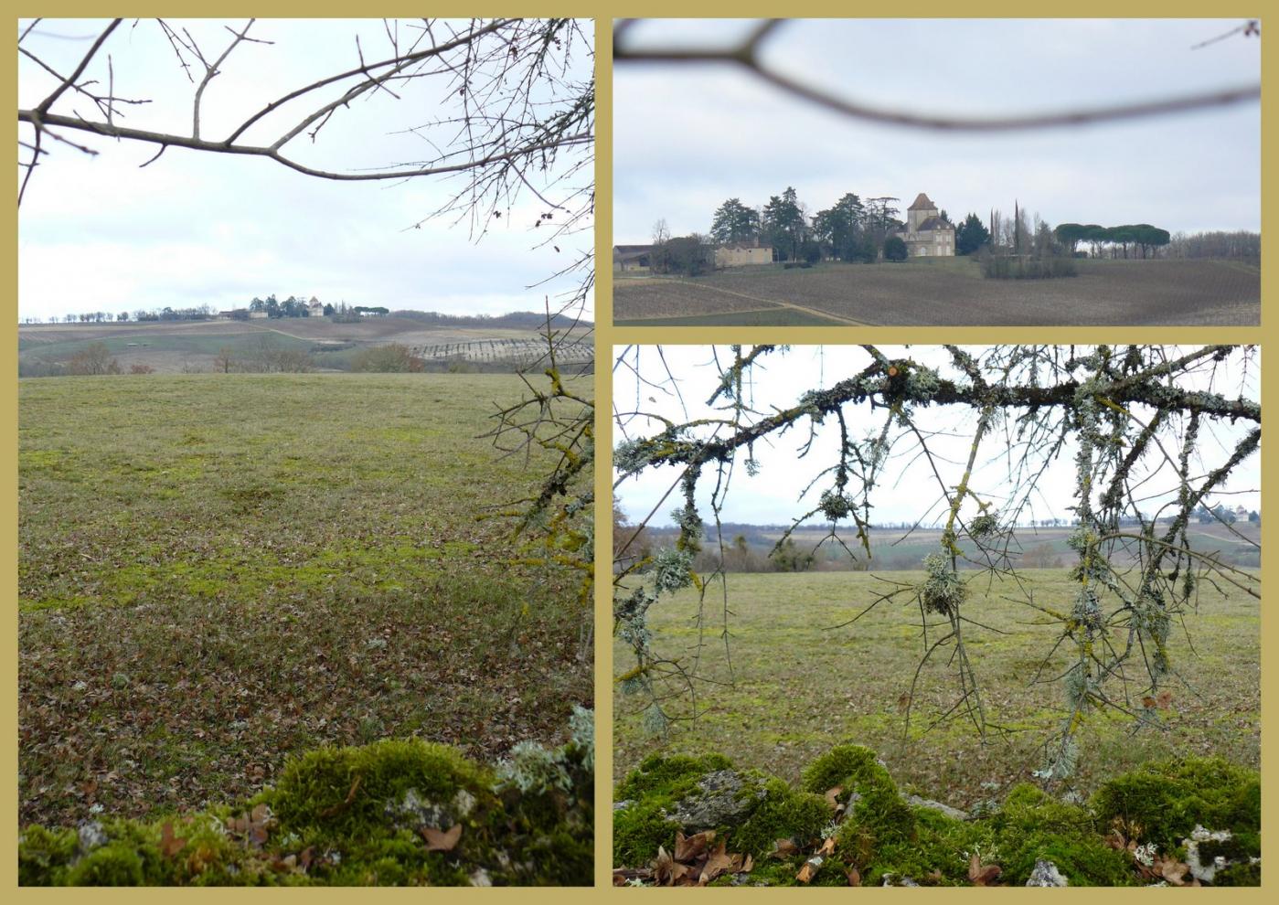 28 janv 2018 rando les hauts de cahors8