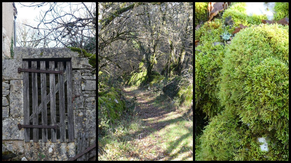 3 decembre 2023 esclauzels10 resultat