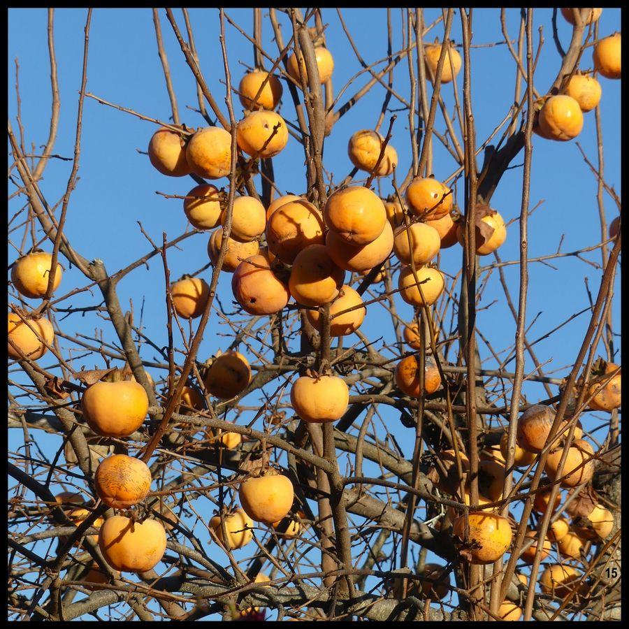 3 decembre 2023 esclauzels14 resultat