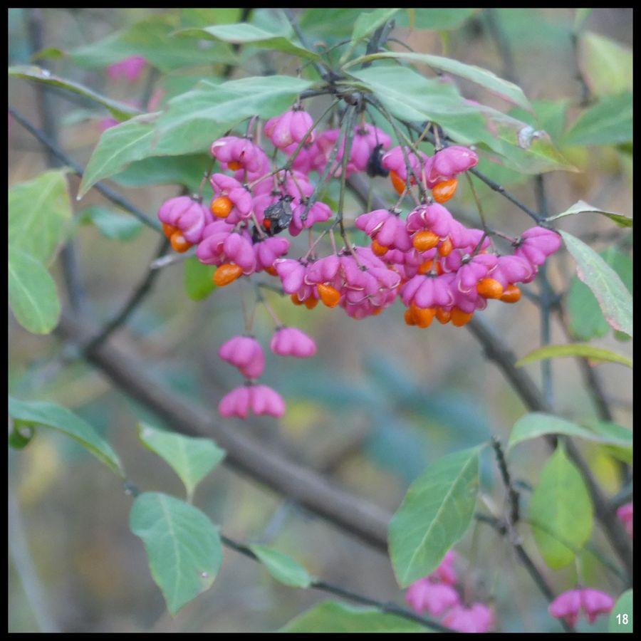 3 decembre 2023 esclauzels17 resultat