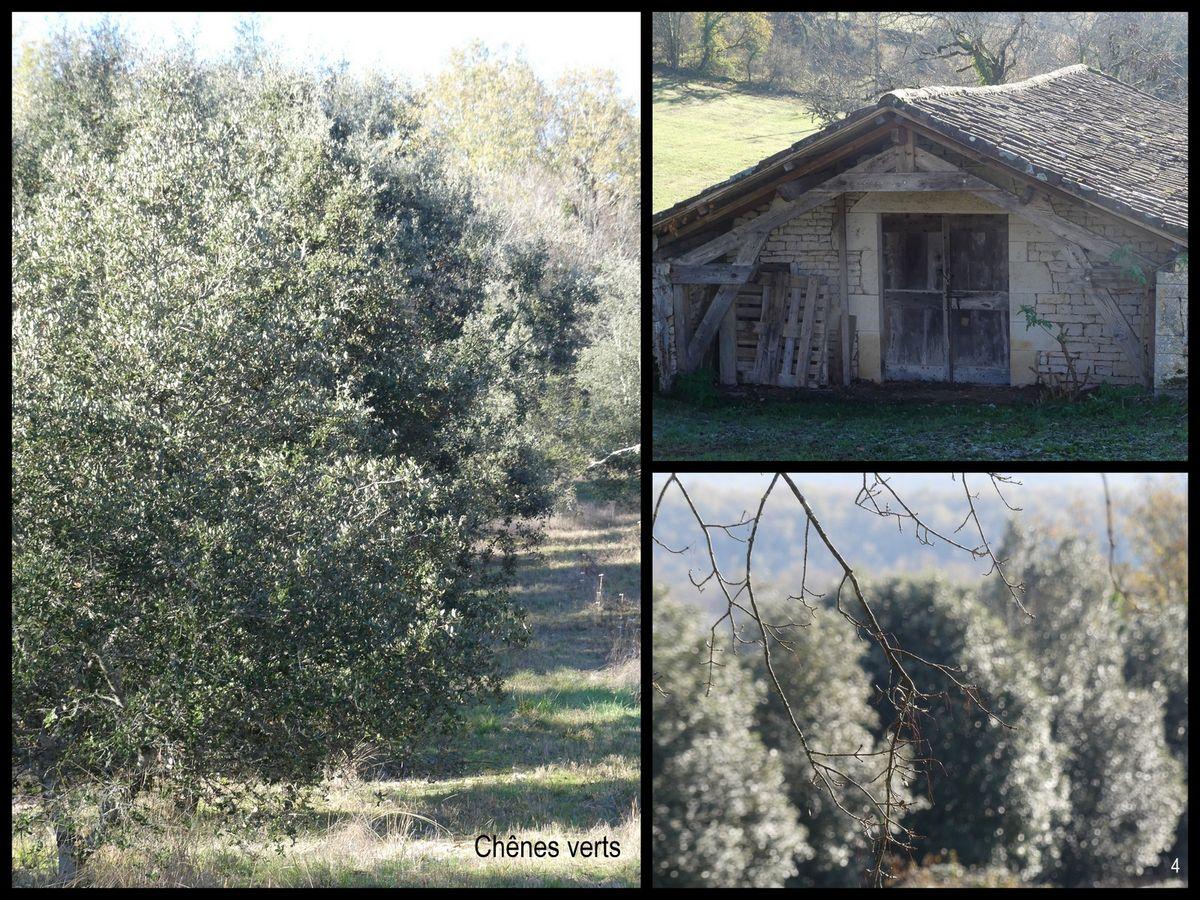 3 decembre 2023 esclauzels3 resultat