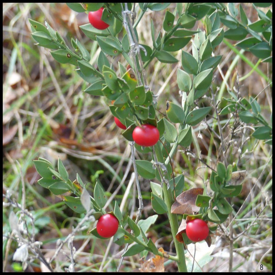 3 decembre 2023 esclauzels7 resultat