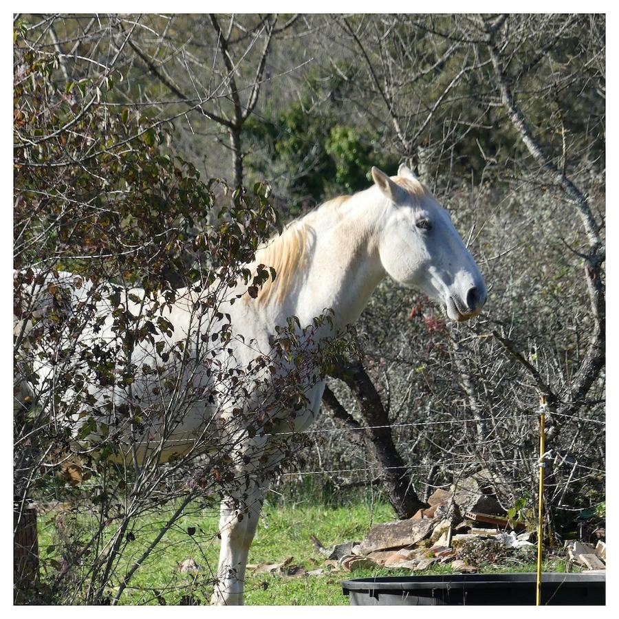 3 nov 24 rando bach depart parking phosphatieres1