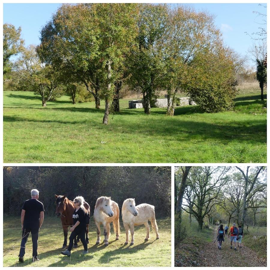 3 nov 24 rando bach depart parking phosphatieres14