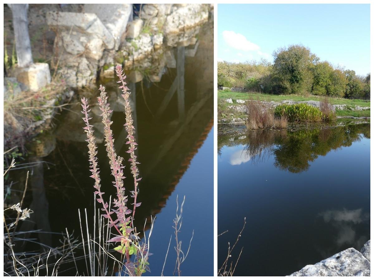 3 nov 24 rando bach depart parking phosphatieres9