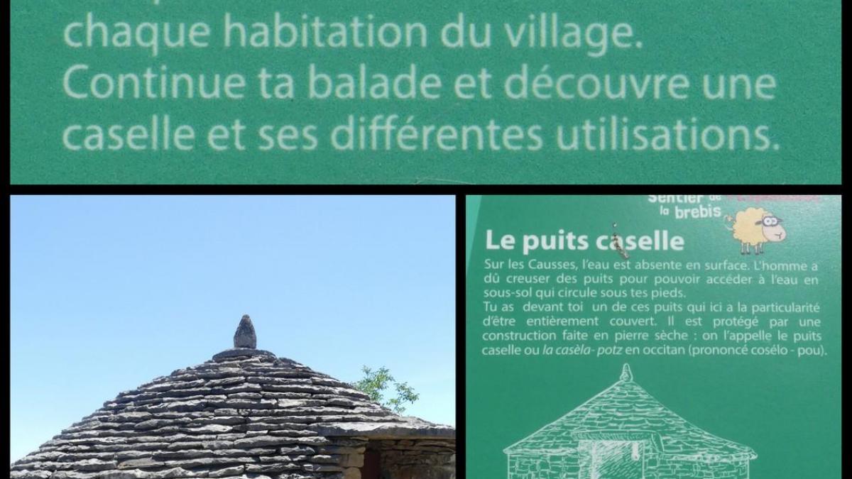 5 juillet 2020 espedaillac1