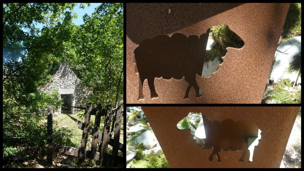 5 juillet 2020 espedaillac12