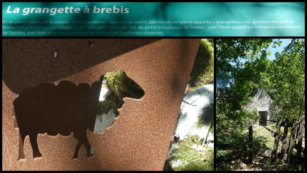 5 juillet 2020 espedaillac13