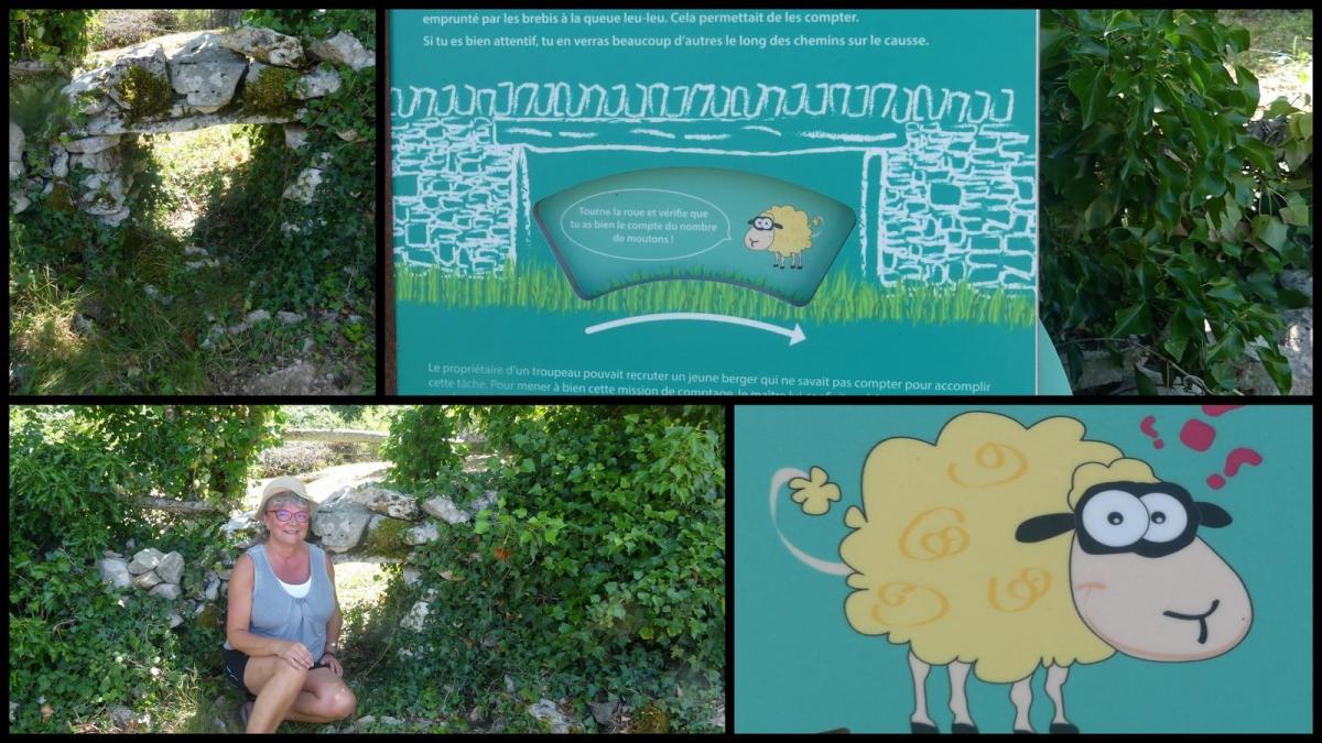 5 juillet 2020 espedaillac15