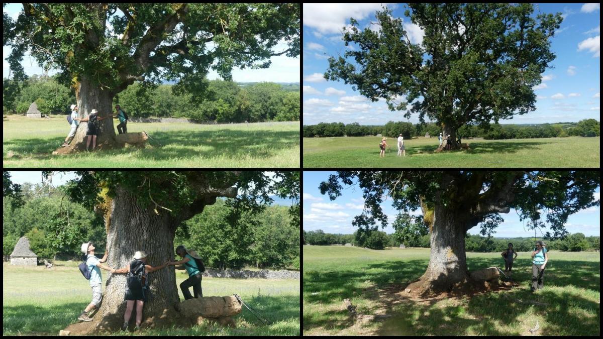 5 juillet 2020 espedaillac24